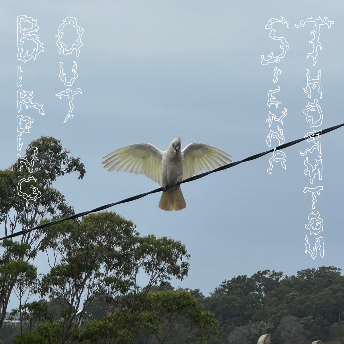 BIRDING OUT